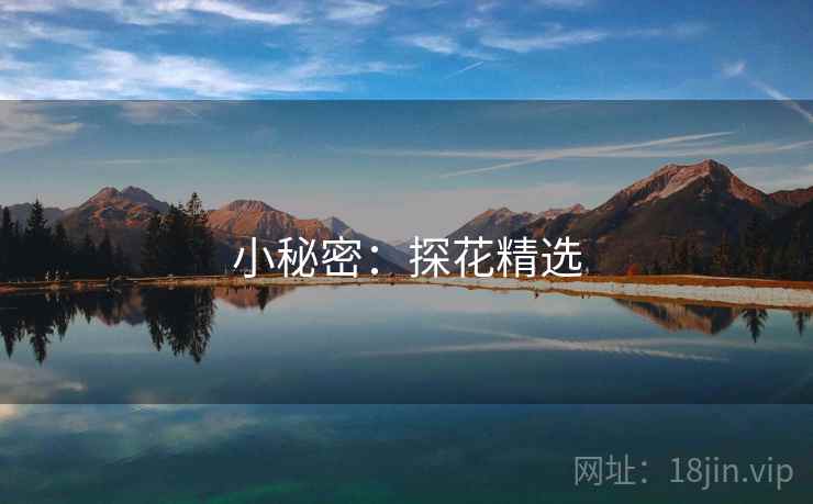 小秘密：探花精选