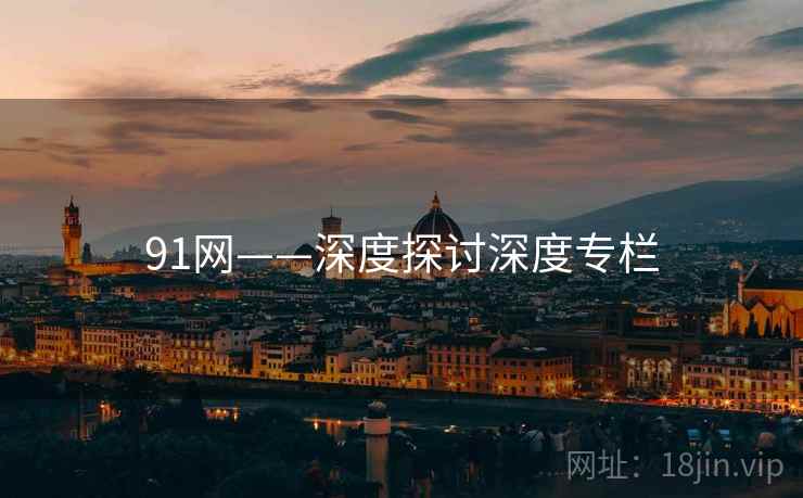 91网——深度探讨深度专栏