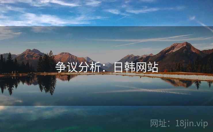 争议分析：日韩网站