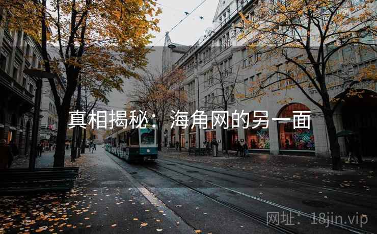 真相揭秘：海角网的另一面