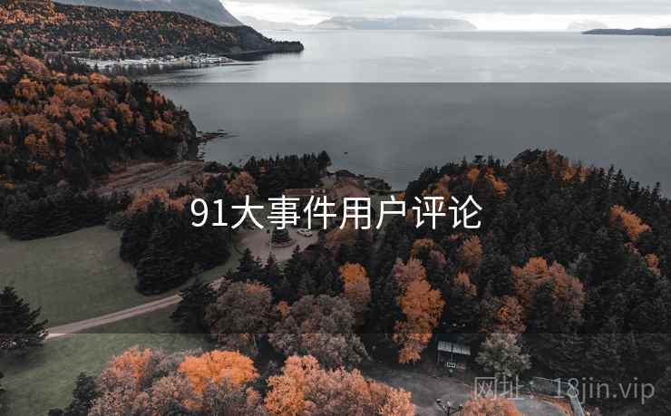 91大事件用户评论