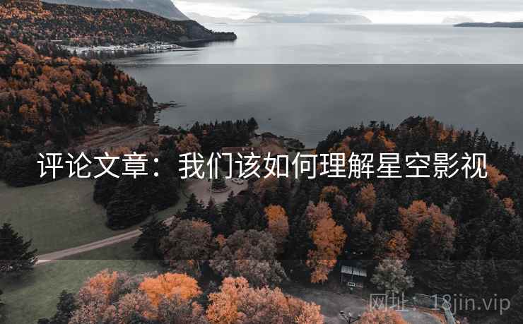 评论文章：我们该如何理解星空影视